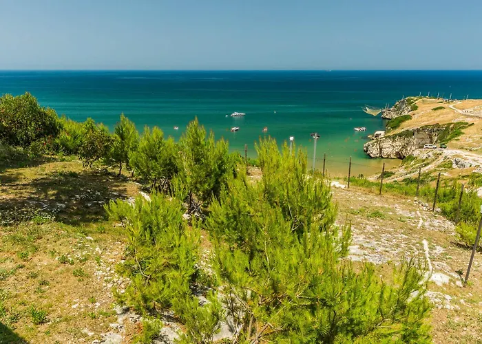 아파트 Centro 페스키치